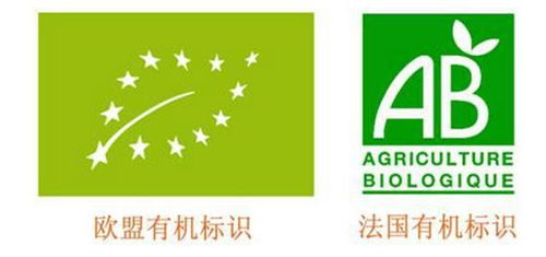 清河信息技術服務管理體系認證步驟